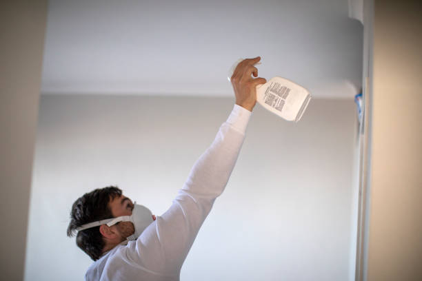 Best Local Mold Removal Service  in Clovis, NM